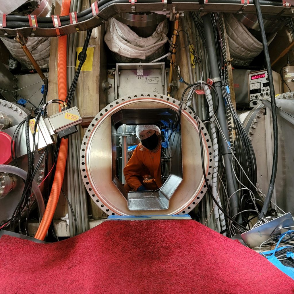 person looking out from inside a tokamak